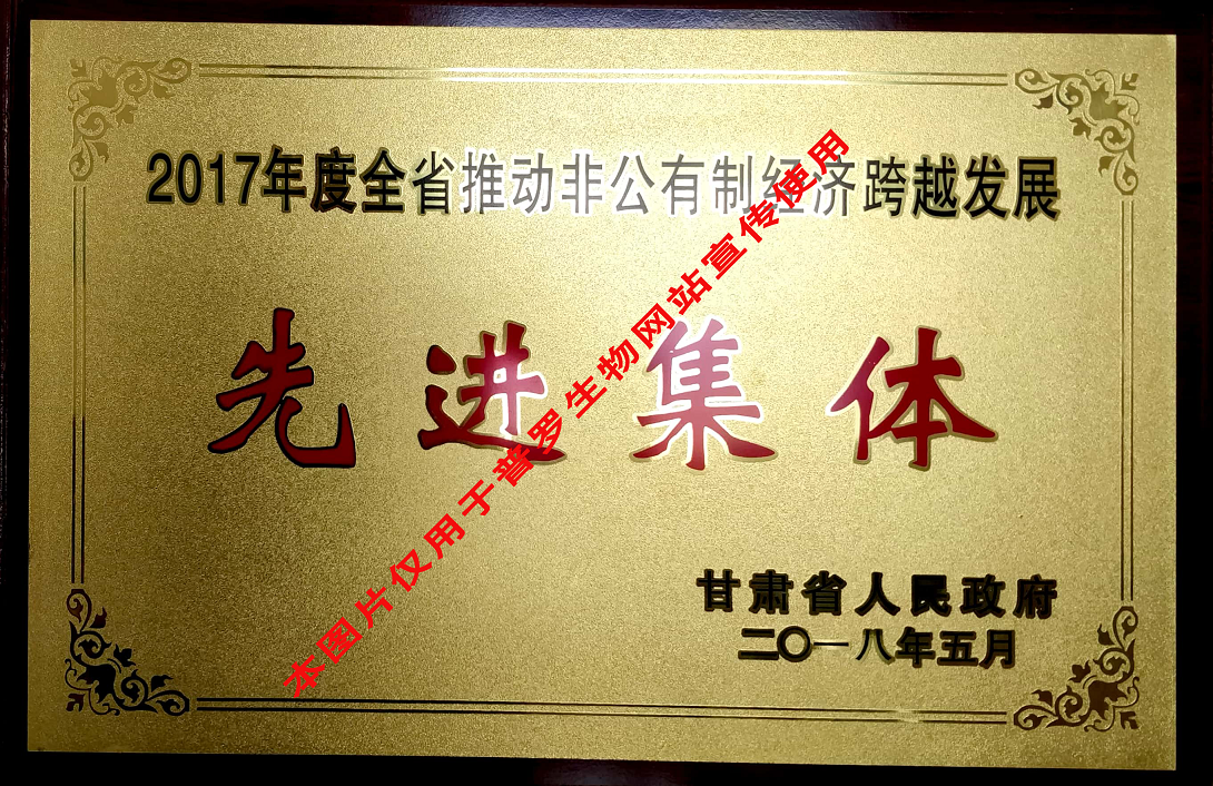 推動非公有制經(jīng)濟先進集體