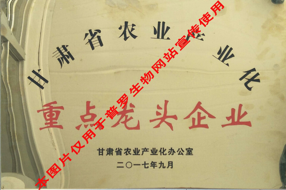 甘肅省重點龍頭企業(yè)